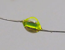 Soviet KL101 LED  (2L101A  KL101A)